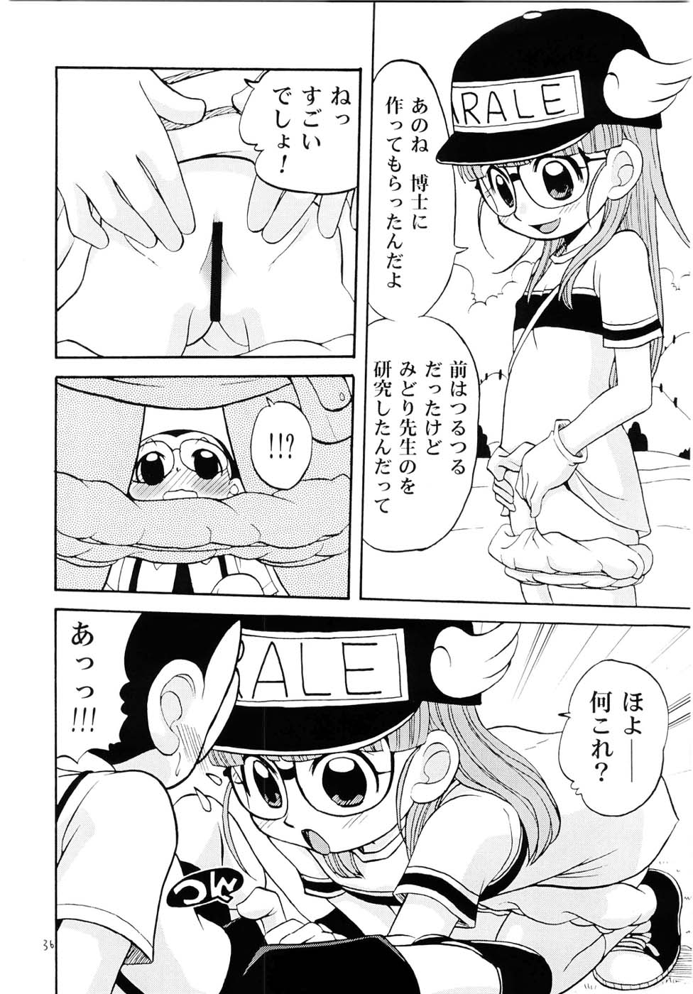 (C68) [スタジオた～ (狂一郎 、沙門)] PROJECT ARALE (ドクタースランプ)