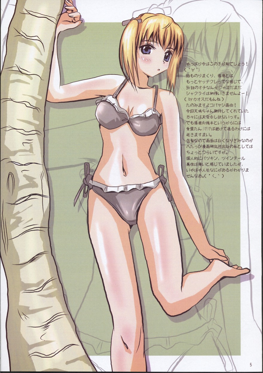 [かこひめのうつわ ] クールちゃんぷるー2 (スクールランブル)