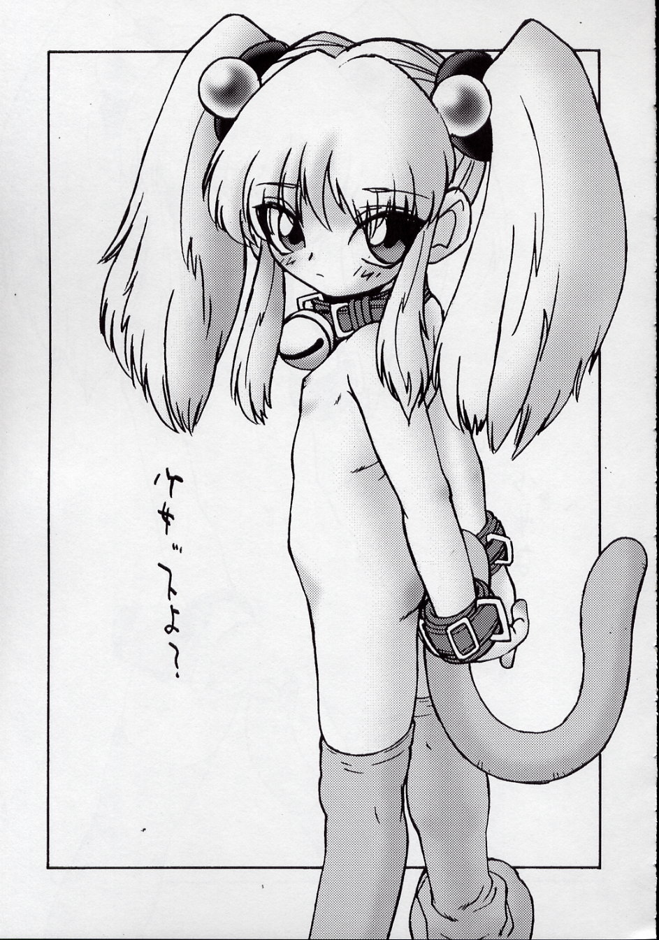 (C62) [革命政府広報室 (よろず)] ルリデリック (機動戦艦ナデシコ)