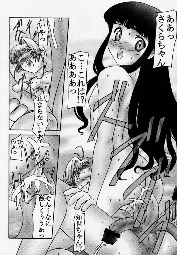 (サンクリ8) [パラミター (S・パラミター)] Card (カードキャプターさくら)