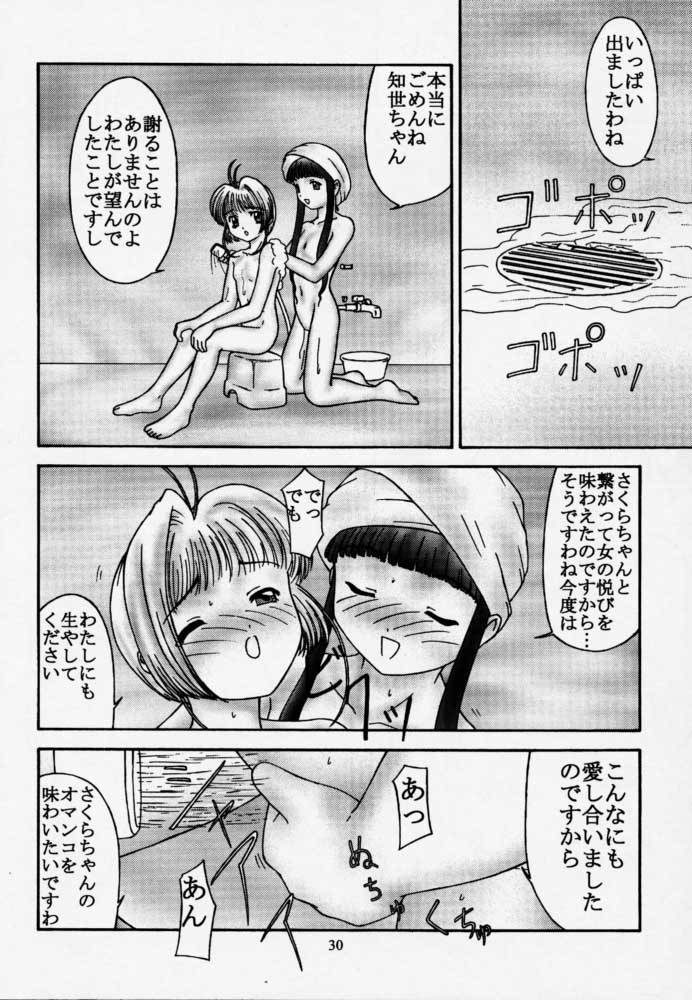 (サンクリ8) [パラミター (S・パラミター)] Card (カードキャプターさくら)