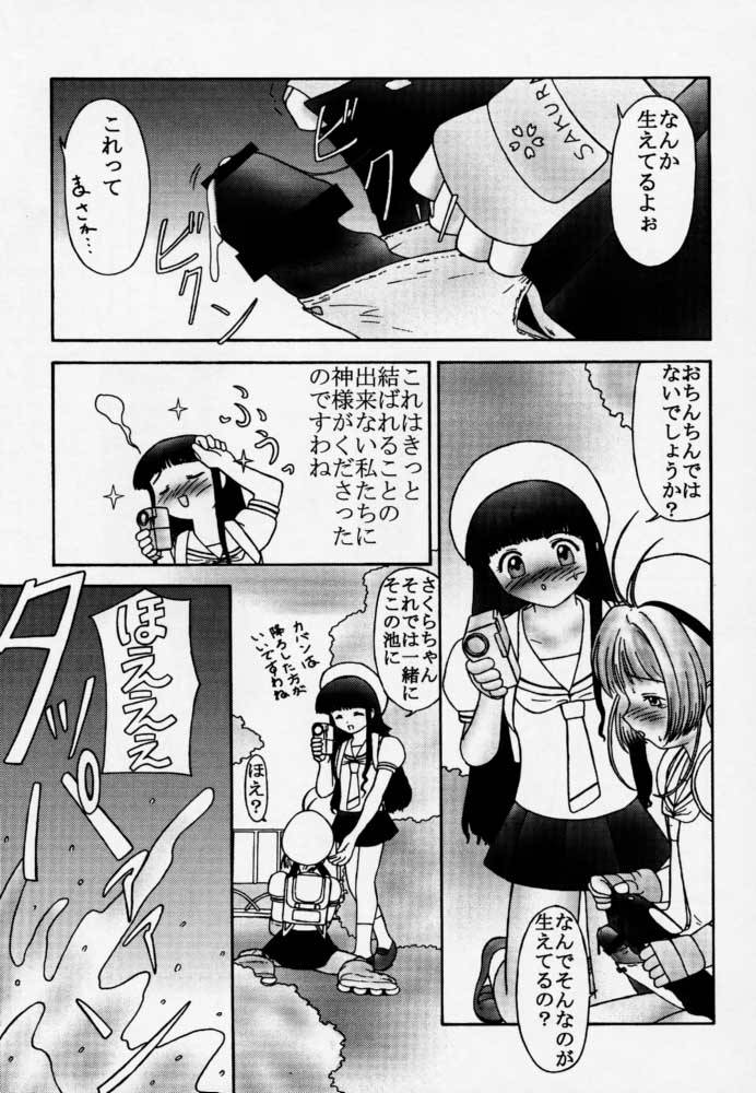 (サンクリ8) [パラミター (S・パラミター)] Card (カードキャプターさくら)