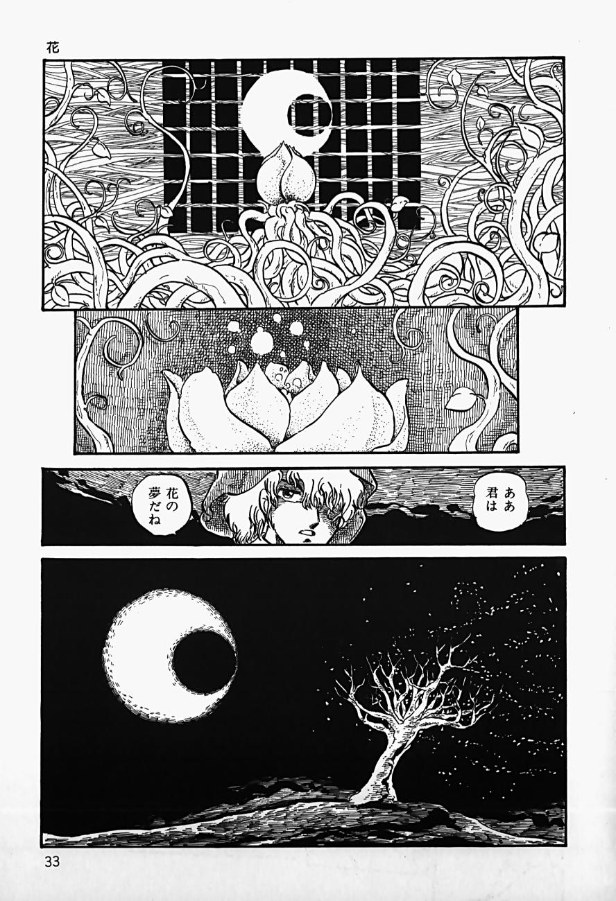 [新田真子] THE RIDDLE