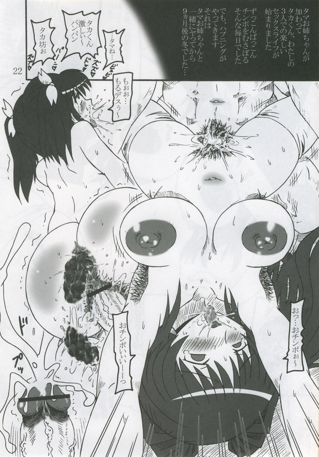 (C68) [サルヴェージ工房 (鳳凰たん)] タマお姉ちゃん育成日記 (トゥハート2)