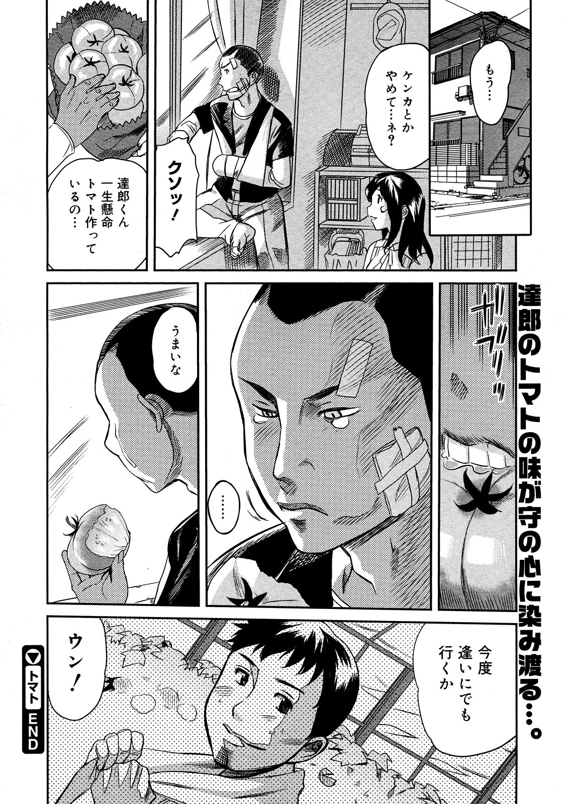 コミックメガストア 2008年3月号