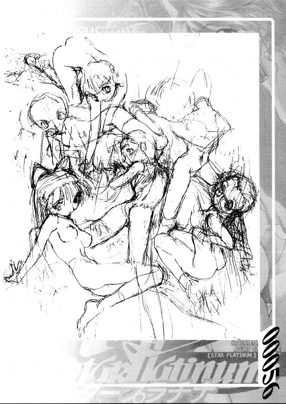 【Z-VECTOR（なであらぶきち）】STAR PLATINUM ARCETYPE