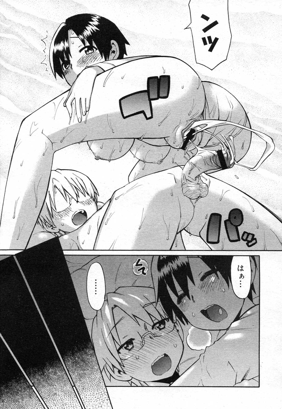 コミックメガストアH 2007年4月号