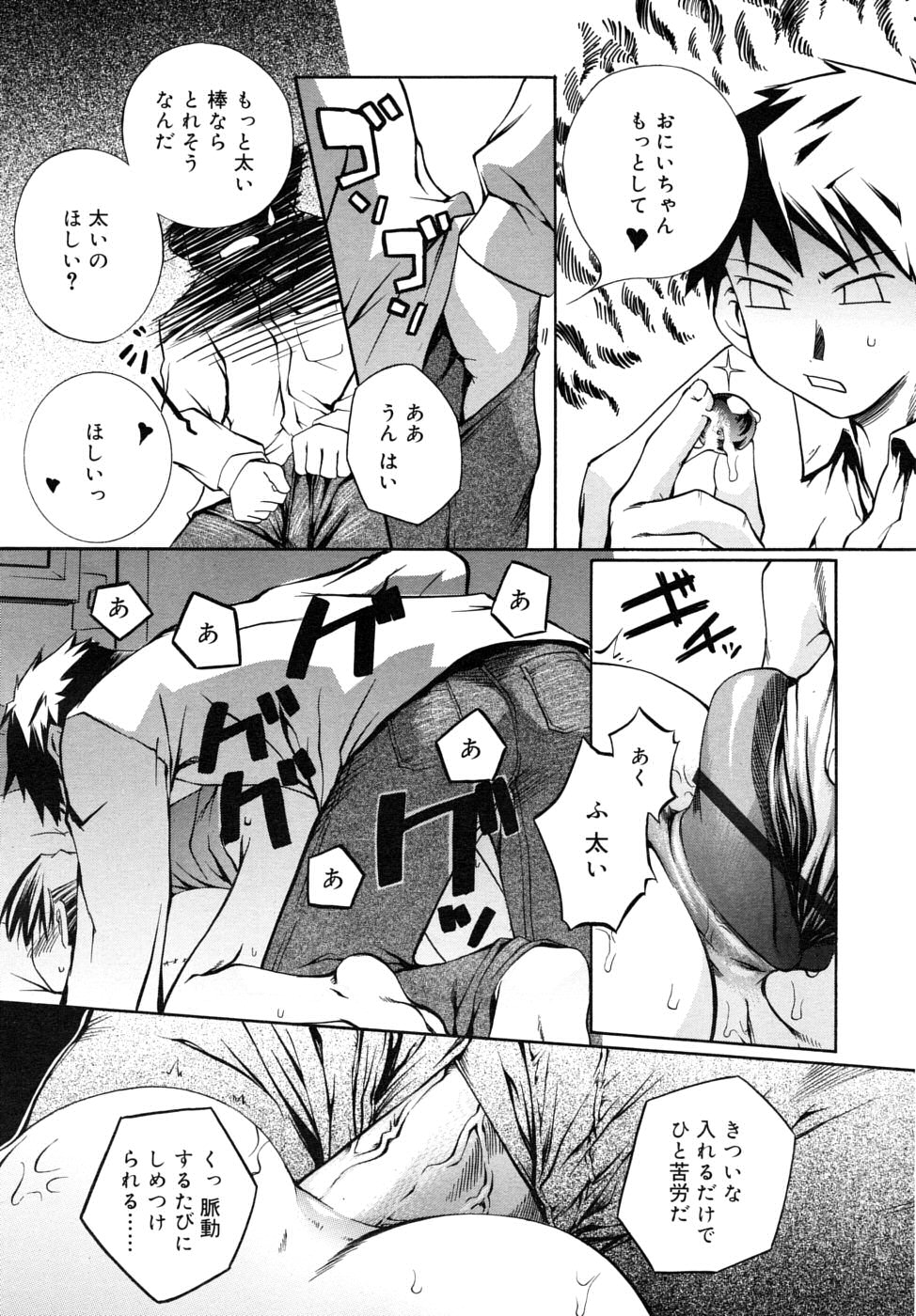 COMIC RiN 2006年8月号 Vol.20