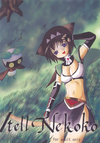 猫子に伝える(ファイナルファンタジーXI) 猫子に伝える(ファイナルファンタジーXI)