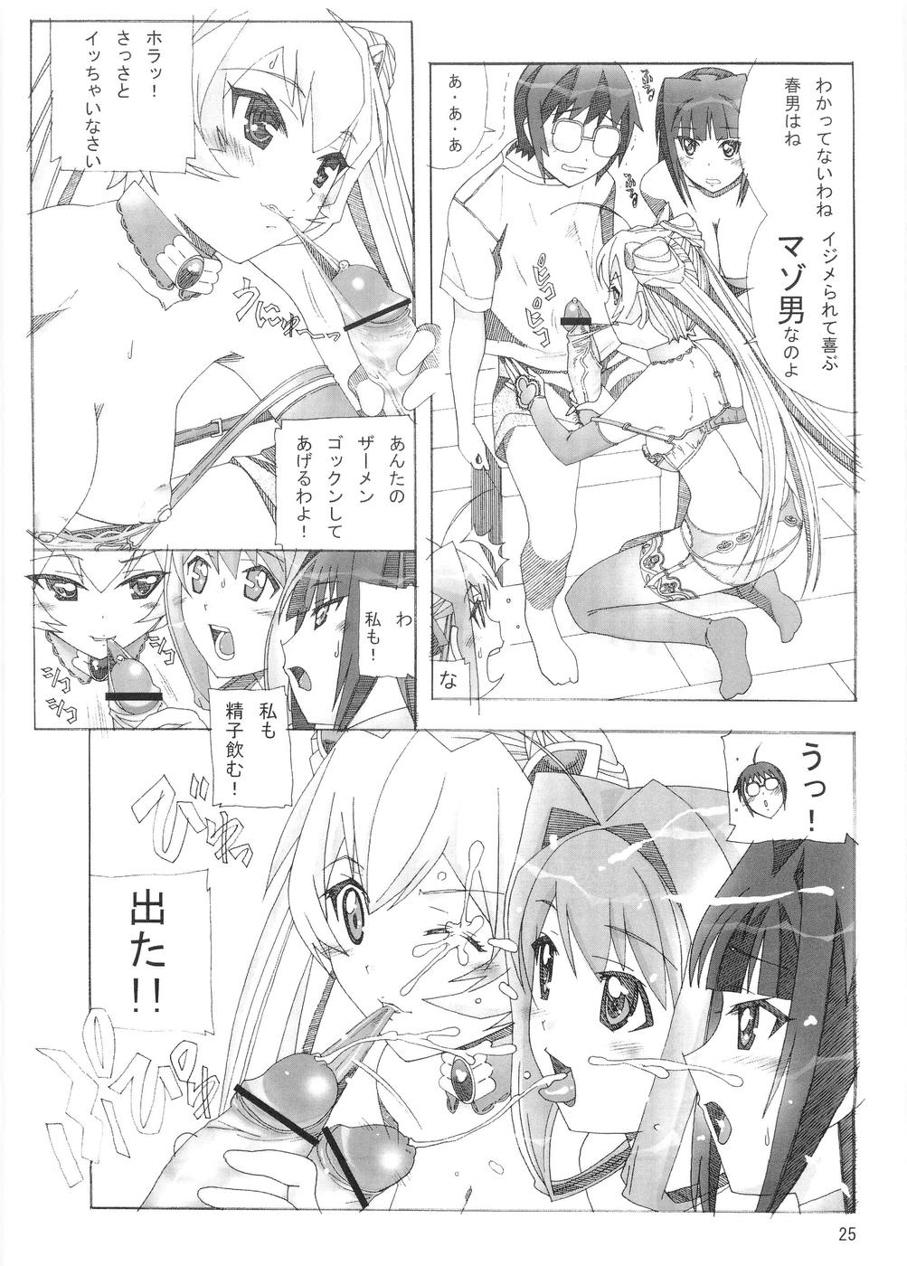 (サンクリ31) [あーびーのーまる (にゅーAB)] 愛奴 36 深夜1:30～の嫁 (マジカノ, 極上生徒会, 舞-乙HiME)