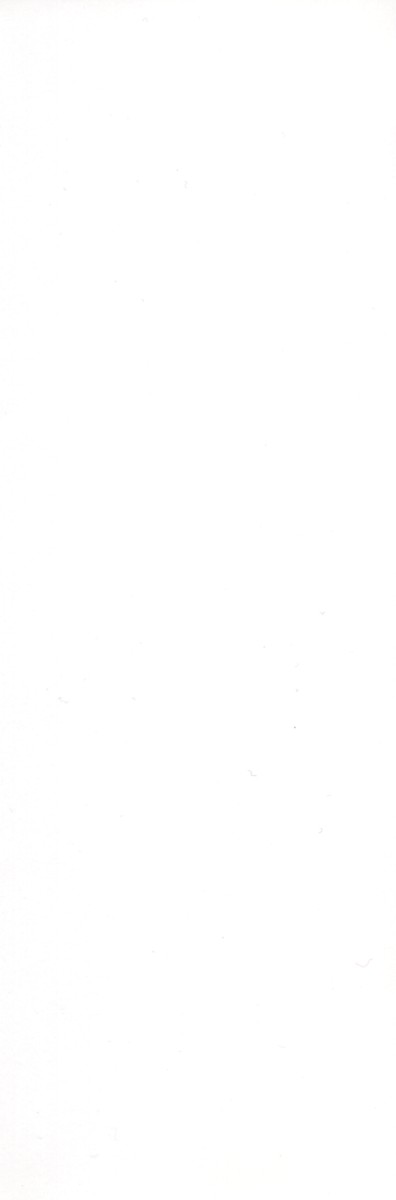 [エロティカヘヴン] 忍ビバップ