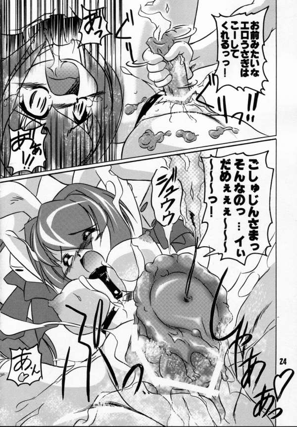 (ぷにけっと12) [壱安芸武堂 (壱安)] うさぎさんとLoveLove2nd (デ・ジ・キャラット)