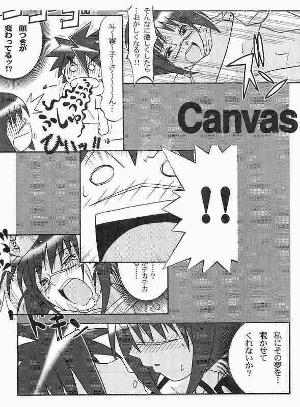 [OOPS!! (のすけ)] CANVAS (武装錬金)