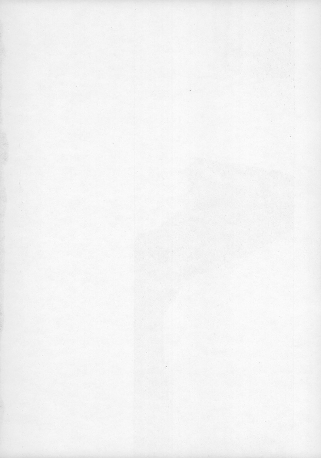 (C70) [Type-G (イシガキタカシ)] TRIP DANCER (ウィッチブレイド)