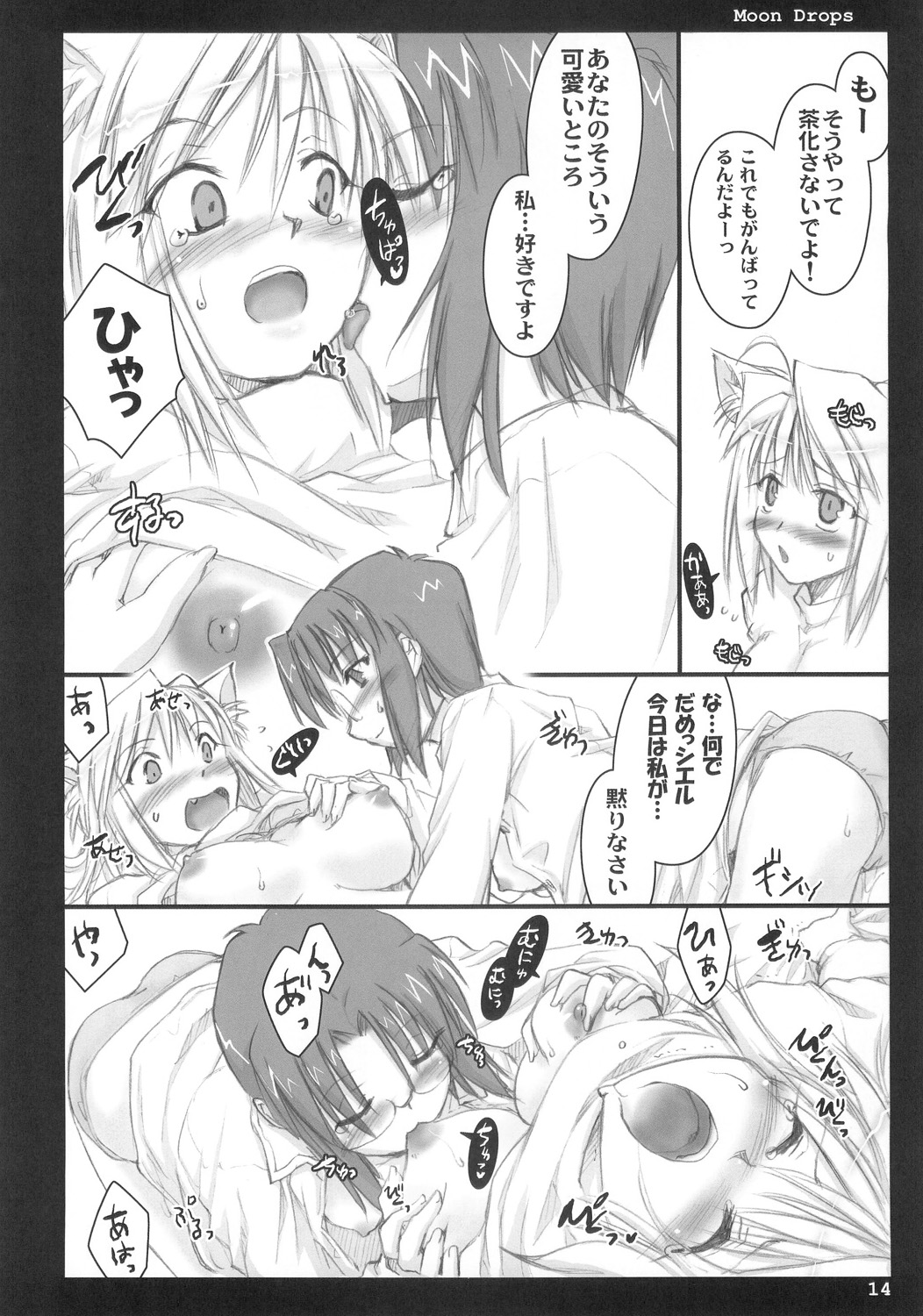 (C66) [しもやけ堂 (逢魔刻壱)] Moon drops (月姫)