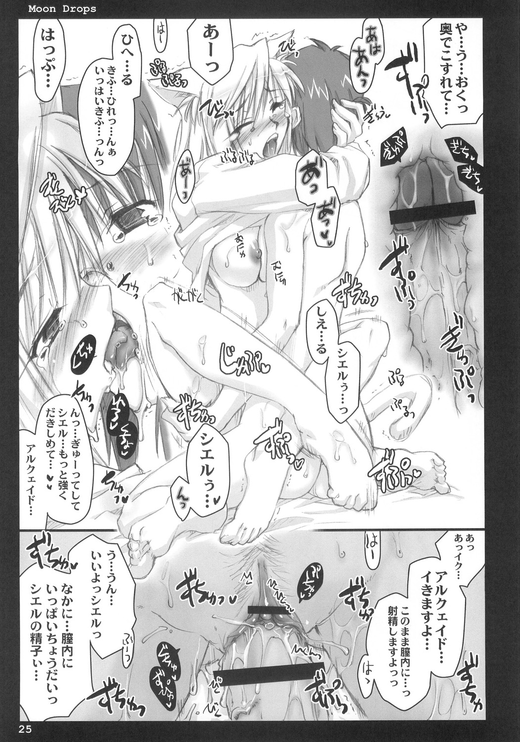 (C66) [しもやけ堂 (逢魔刻壱)] Moon drops (月姫)