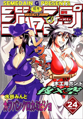 [セメダインG (水谷みんと、木工用ボンド)] SEMEDAIN G WORKS vol.24 - 週刊少年ジャンプ 本 4 (ブリーチ、ワンピース)