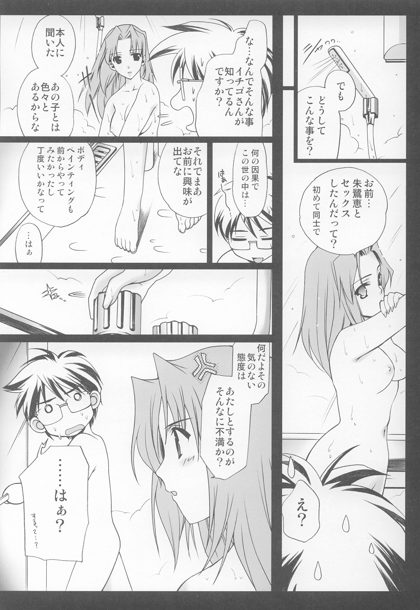 (C63) [恋愛漫画家 (鳴瀬ひろふみ)] おにいちゃんおうえん隊 (月姫)