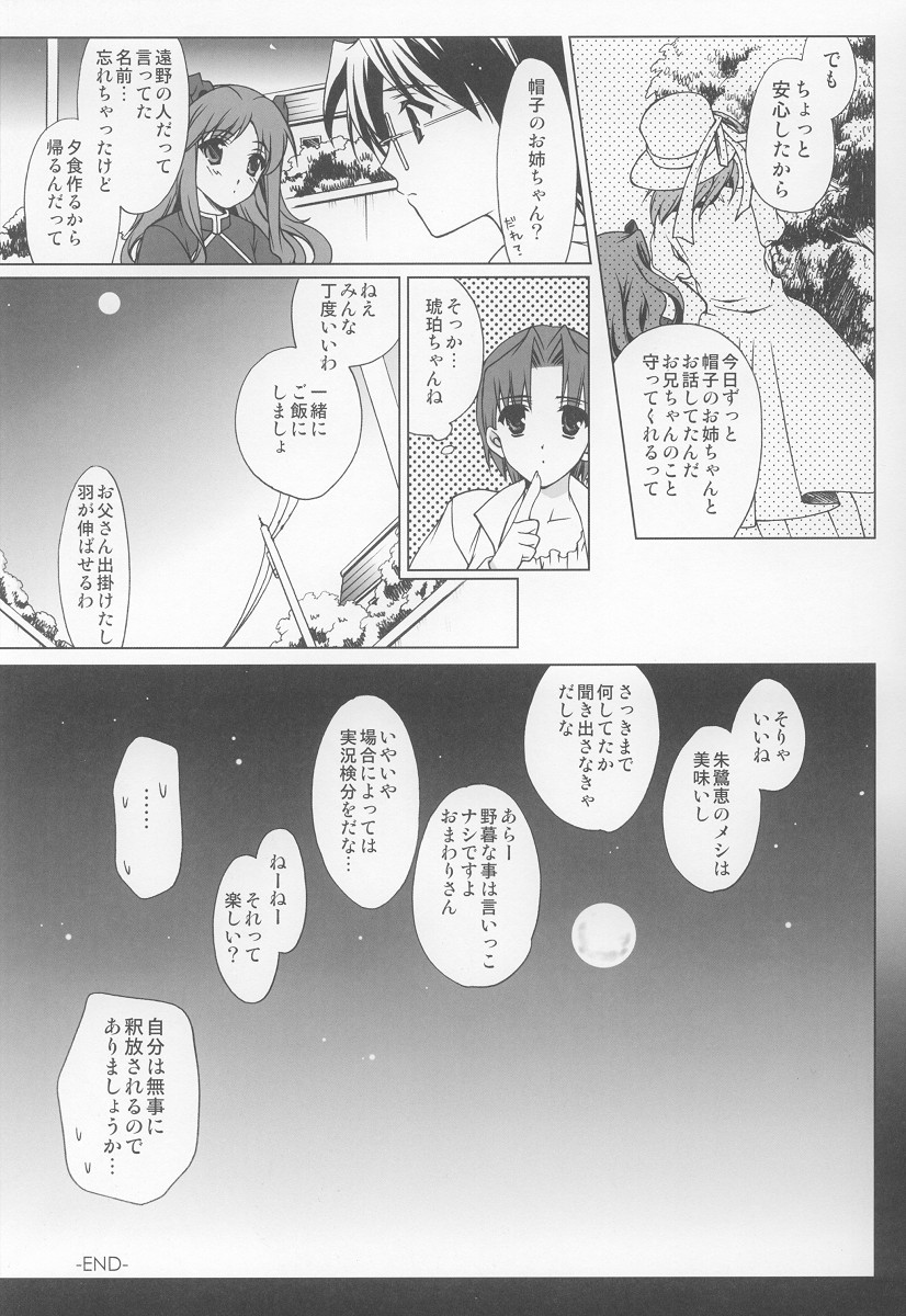 (C63) [恋愛漫画家 (鳴瀬ひろふみ)] おにいちゃんおうえん隊 (月姫)
