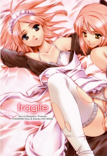 (C62) [恋愛漫画家 (鳴瀬ひろふみ)] fragile (月姫)