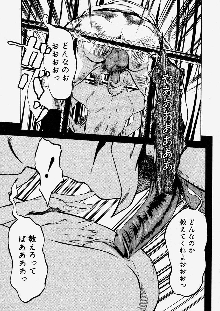 コミックメガストアH 2004年6月号