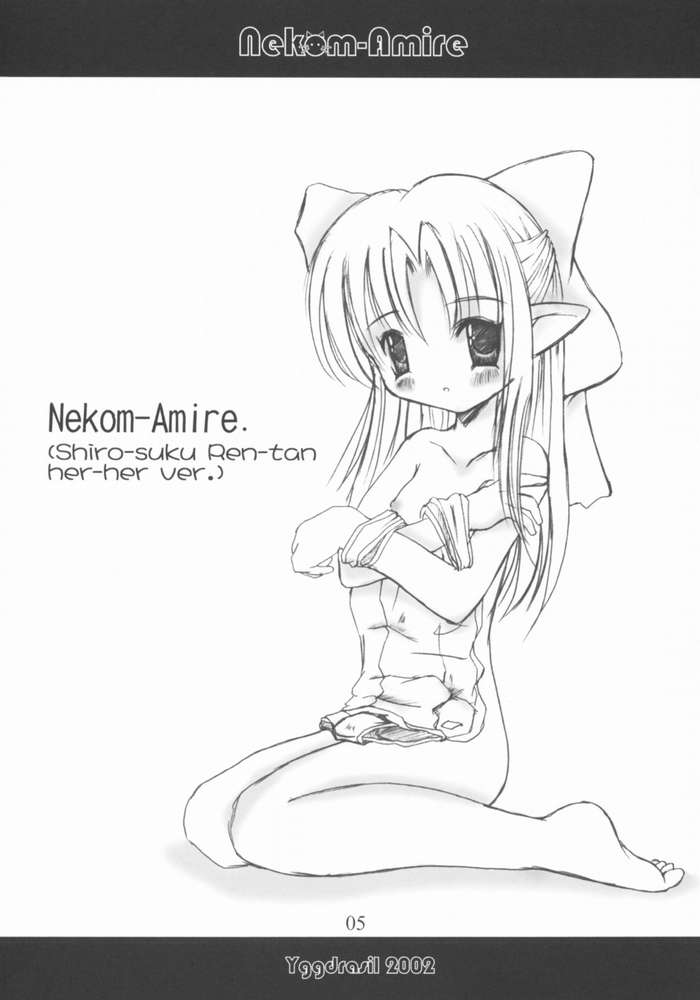 (C63) [イグドラシル (雅川佐倉)] Nekom-Amire (月姫)