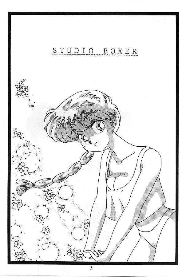 [スタジオぼくさぁ (よろず)] HO・HE・TO 5 (らんま 1/2)