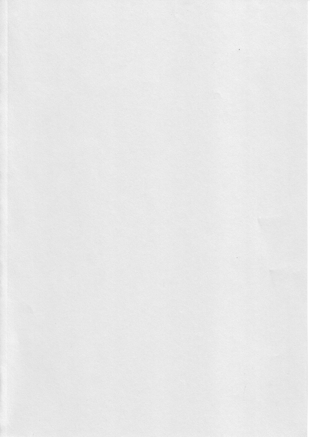 (C67) [中華饅頭 (八神大)] まんとう .25 (新世紀エヴァンゲリオン)