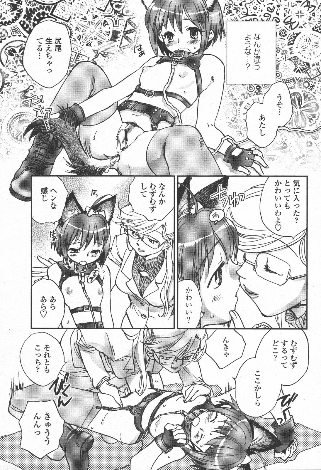 COMIC 桃姫 2006年6月号 Vol.68