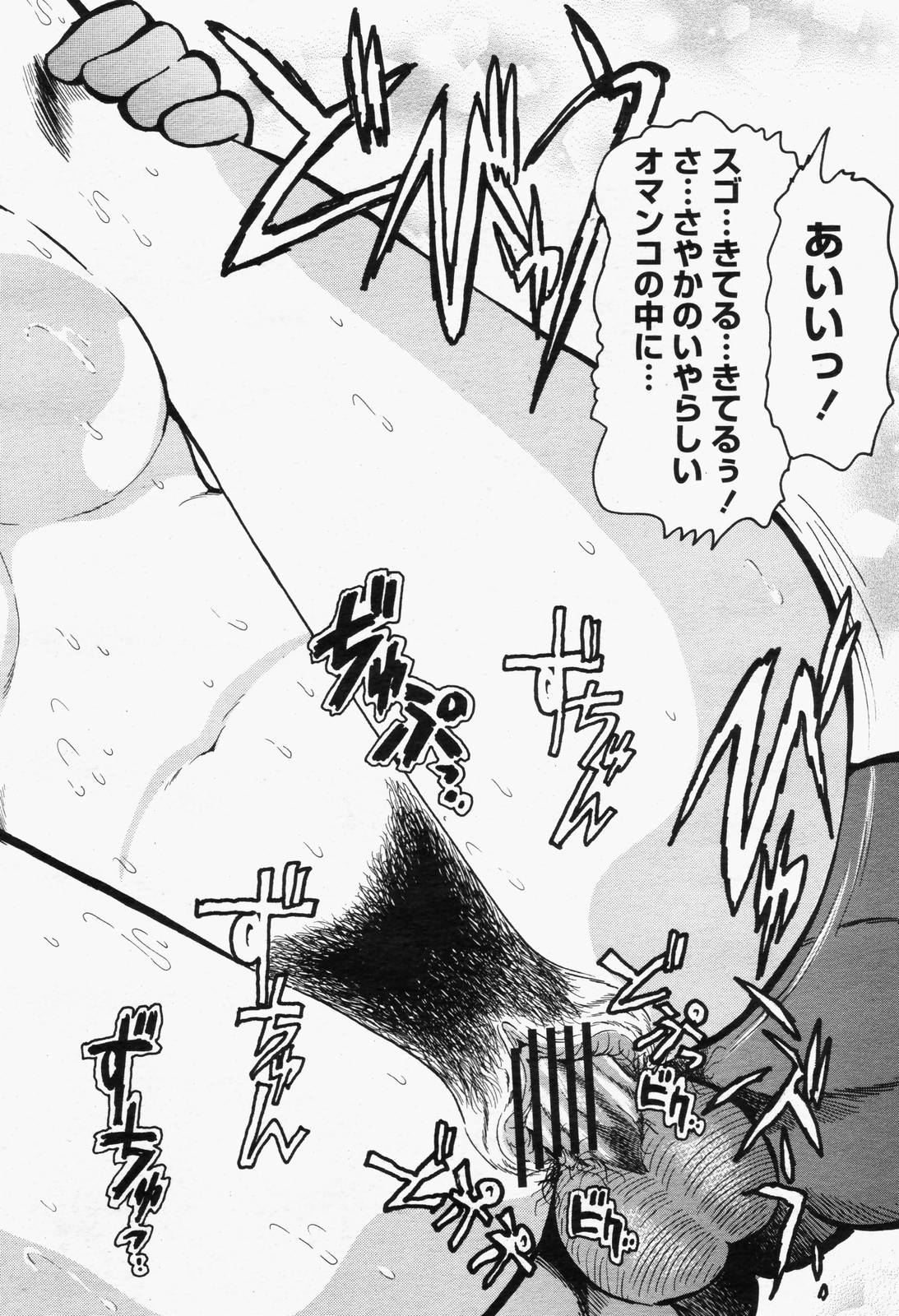 COMIC 桃姫 2006年6月号 Vol.68