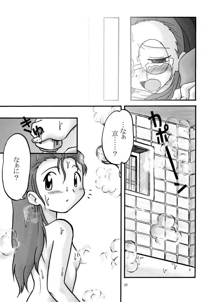 [うっかり堂 (稲荷さつき, 島津いさみ)] らぶらぶふぁにぃ (デジモンアドベンチャー02)