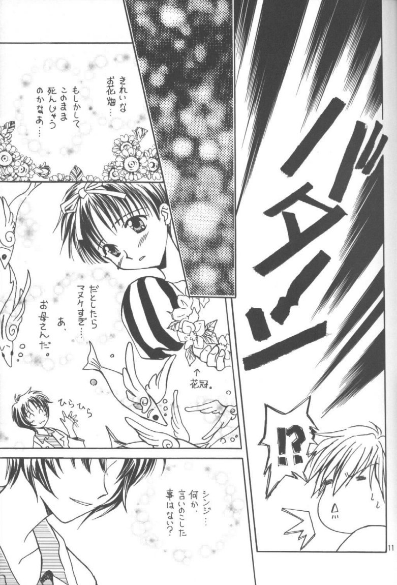 (C55) [Fairy Tale House (フェニキア雅子)] Hasu Kriya (新世紀エヴァンゲリオン)