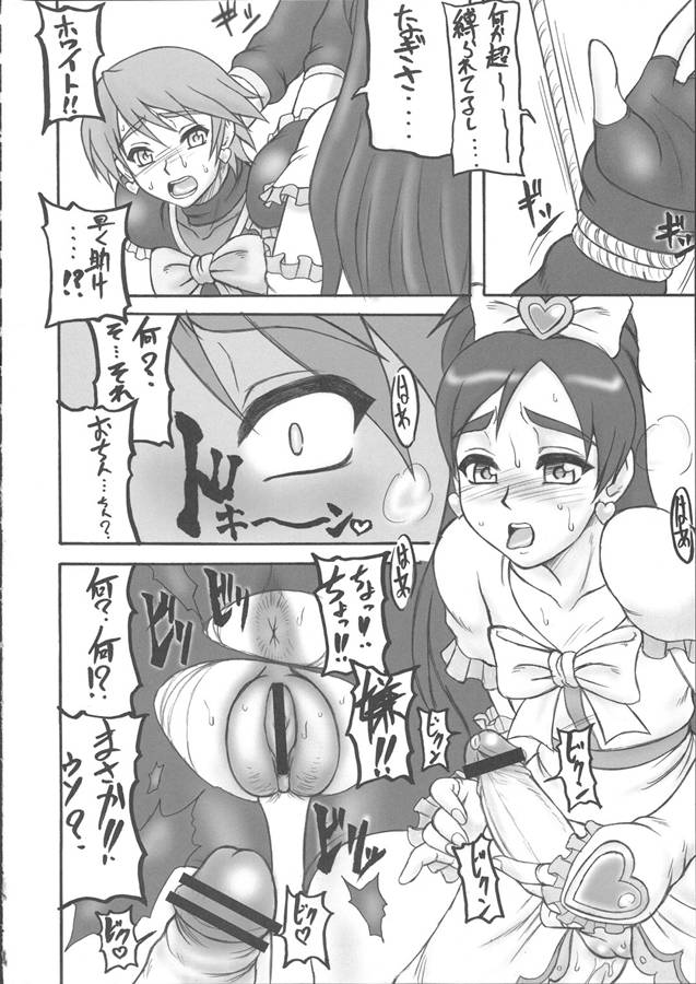 (C66) [もつ料理 (もつ)] ぷり尻 (ふたりはプリキュア)