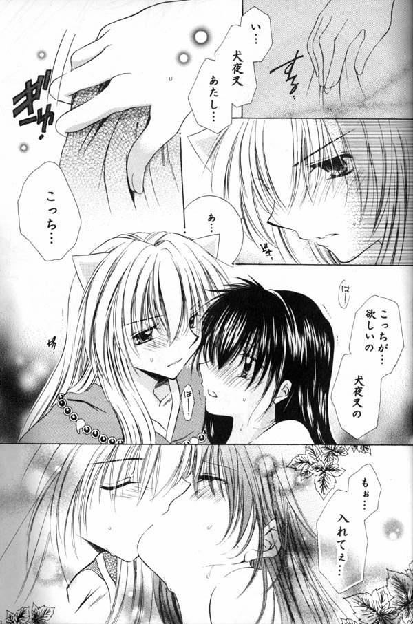 [桜館 (芹桜さくら)] 満つ月の魔法 (犬夜叉)