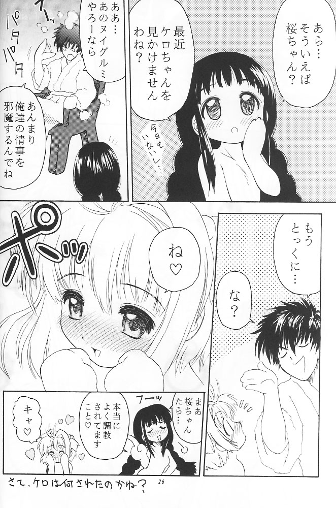 (C53) [RIROLAND (空鵺, 里見ひろゆき)] PINK PERFECTION (カードキャプターさくら)