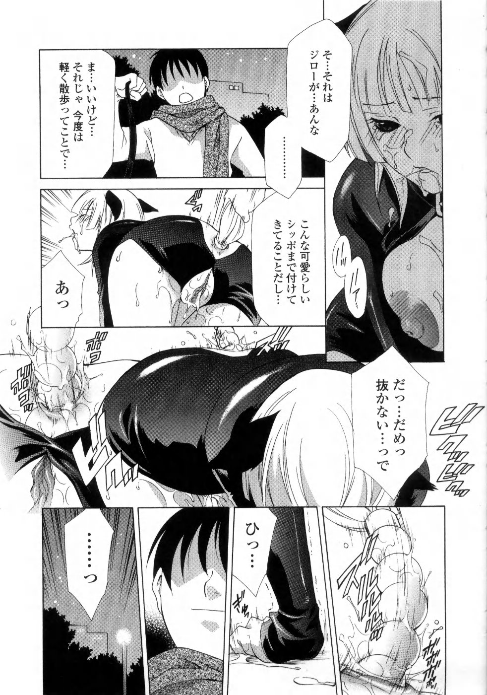 [稲荷金蔵] あねイヌ