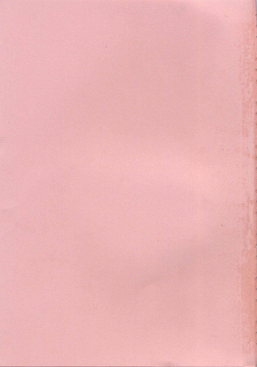 [稲荷金蔵] あねイヌ