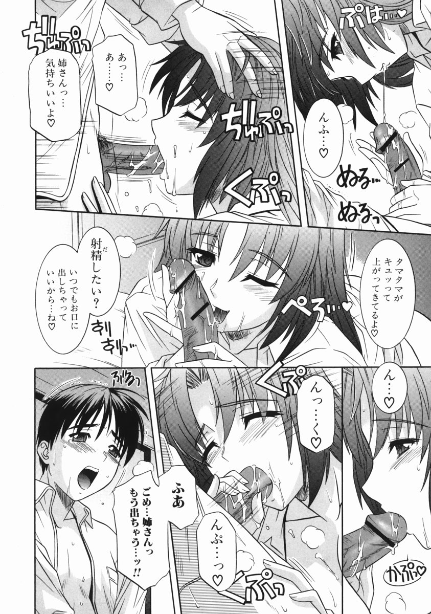 [つつみあかり] 姉の淫腔