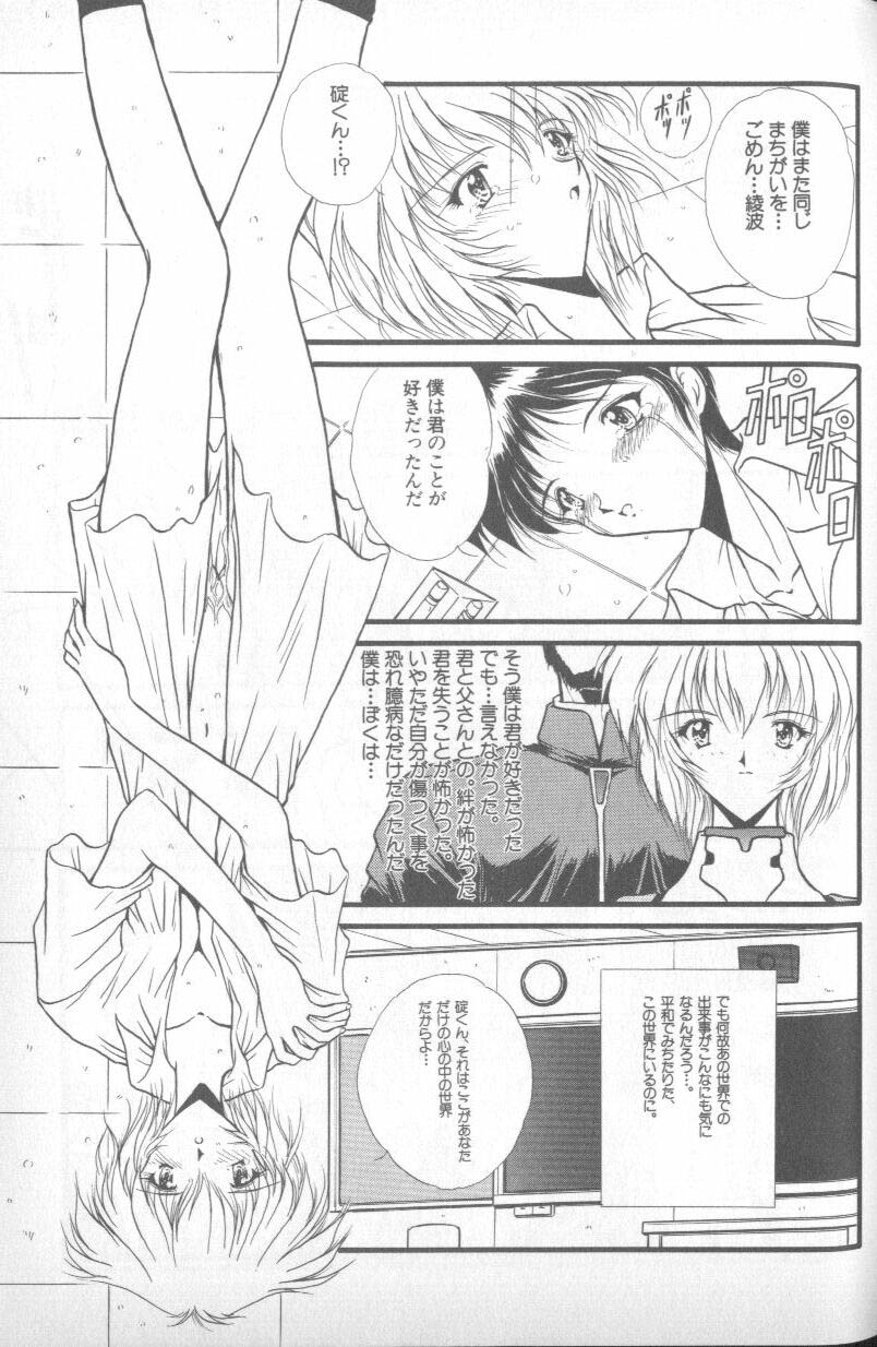 [アンソロジー] 失楽園 4 (新世紀エヴァンゲリオン)