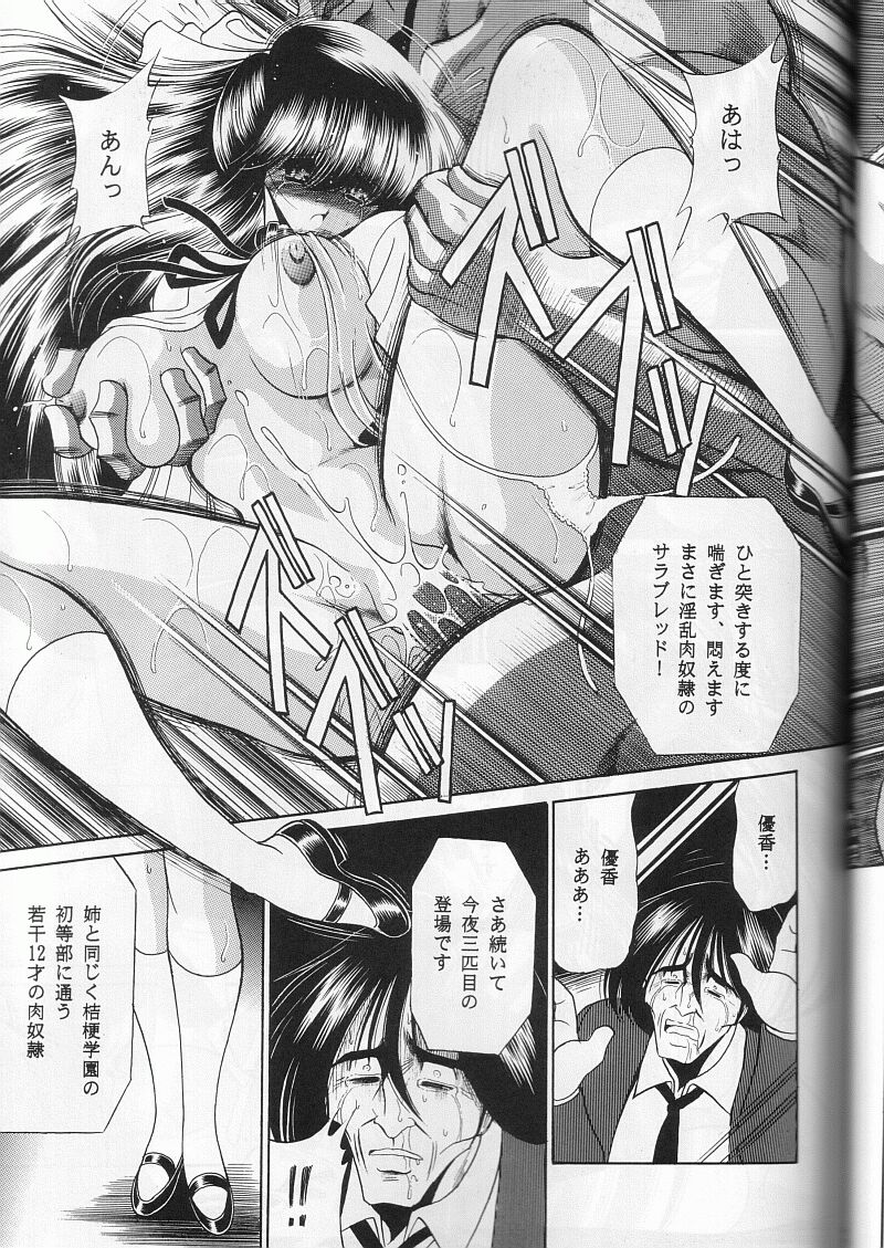 (Cレヴォ29) [サークル太平天国 (堀川悟郎)] 最終姦