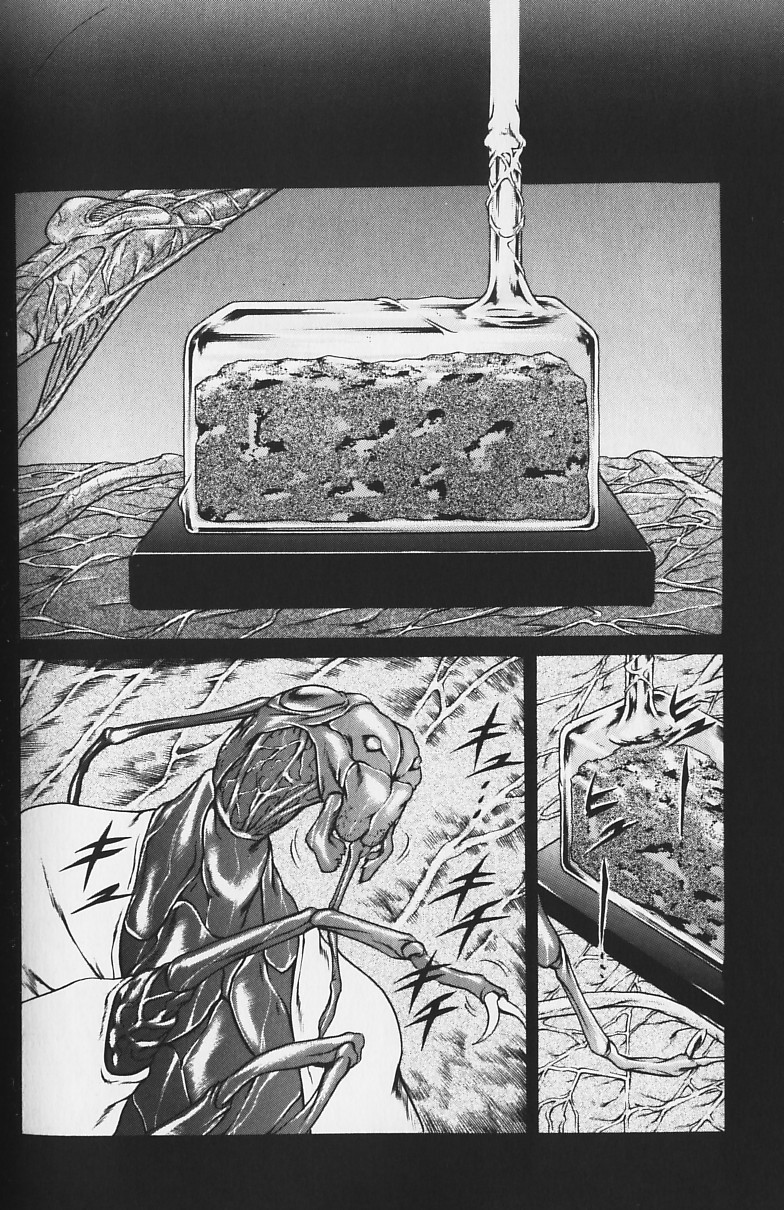 [まぐろ帝國] しりちち