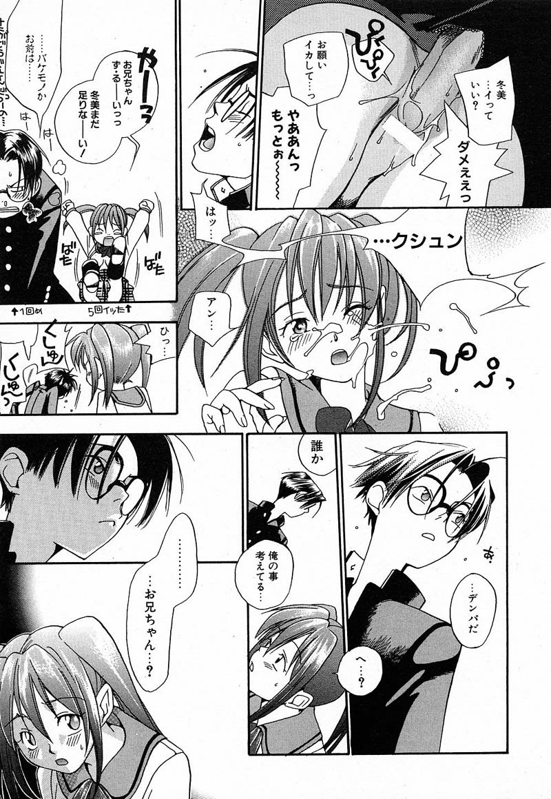 [米倉けんご] 私立星之端学園！？恋愛専科