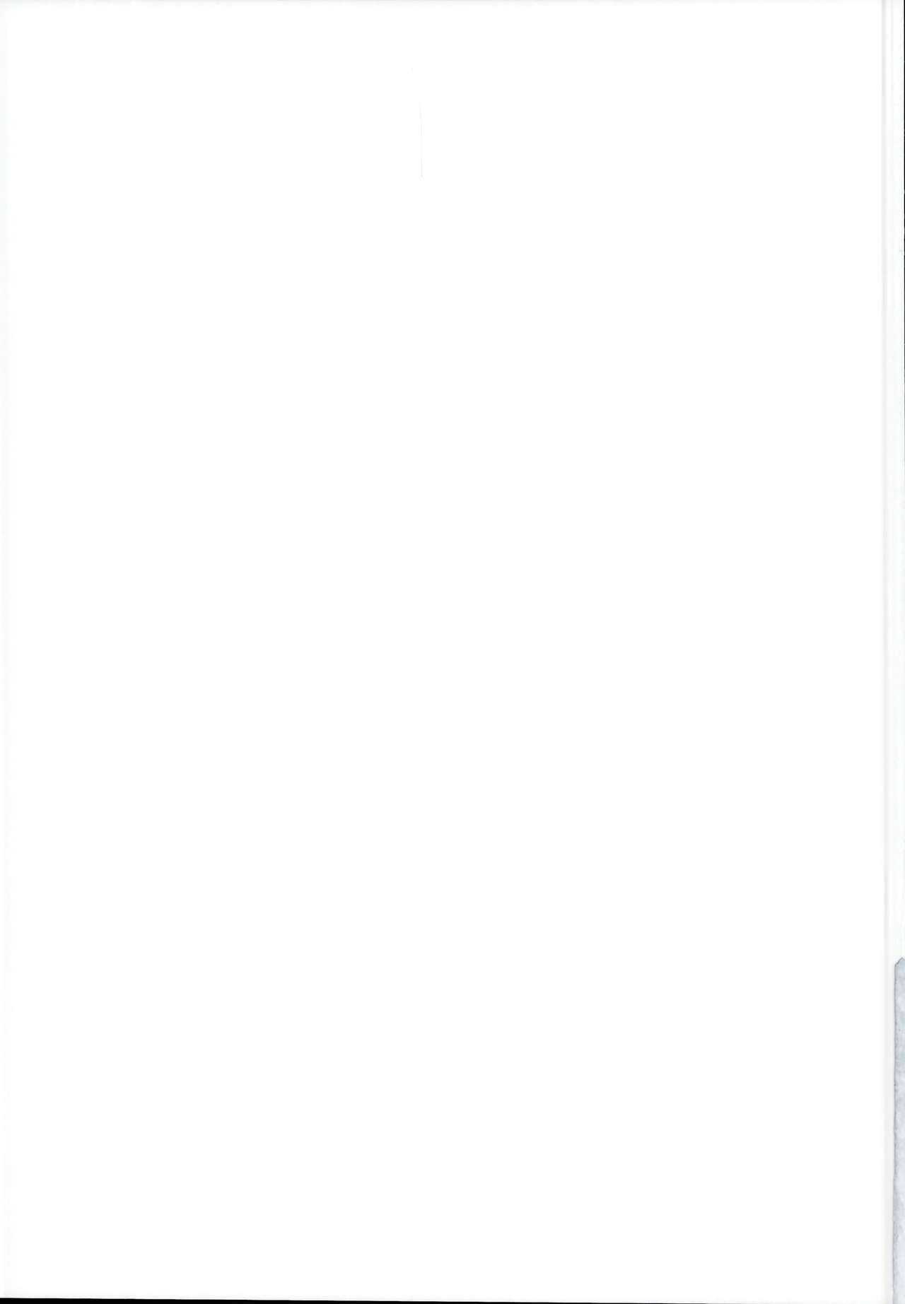 (C95) [しろくろうさ (スギユウ)] 檻の中のイリヤちゃん～魔法少女～ (Fate/kaleid liner プリズマ☆イリヤ) [英訳]