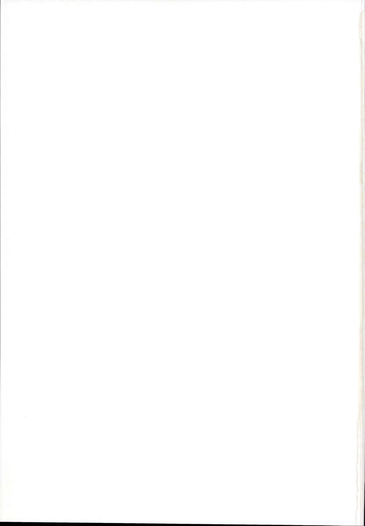 (C95) [ホロナミンZ (ホロナミン)] 落ちこぼれサキュバスとせっくす補習授業