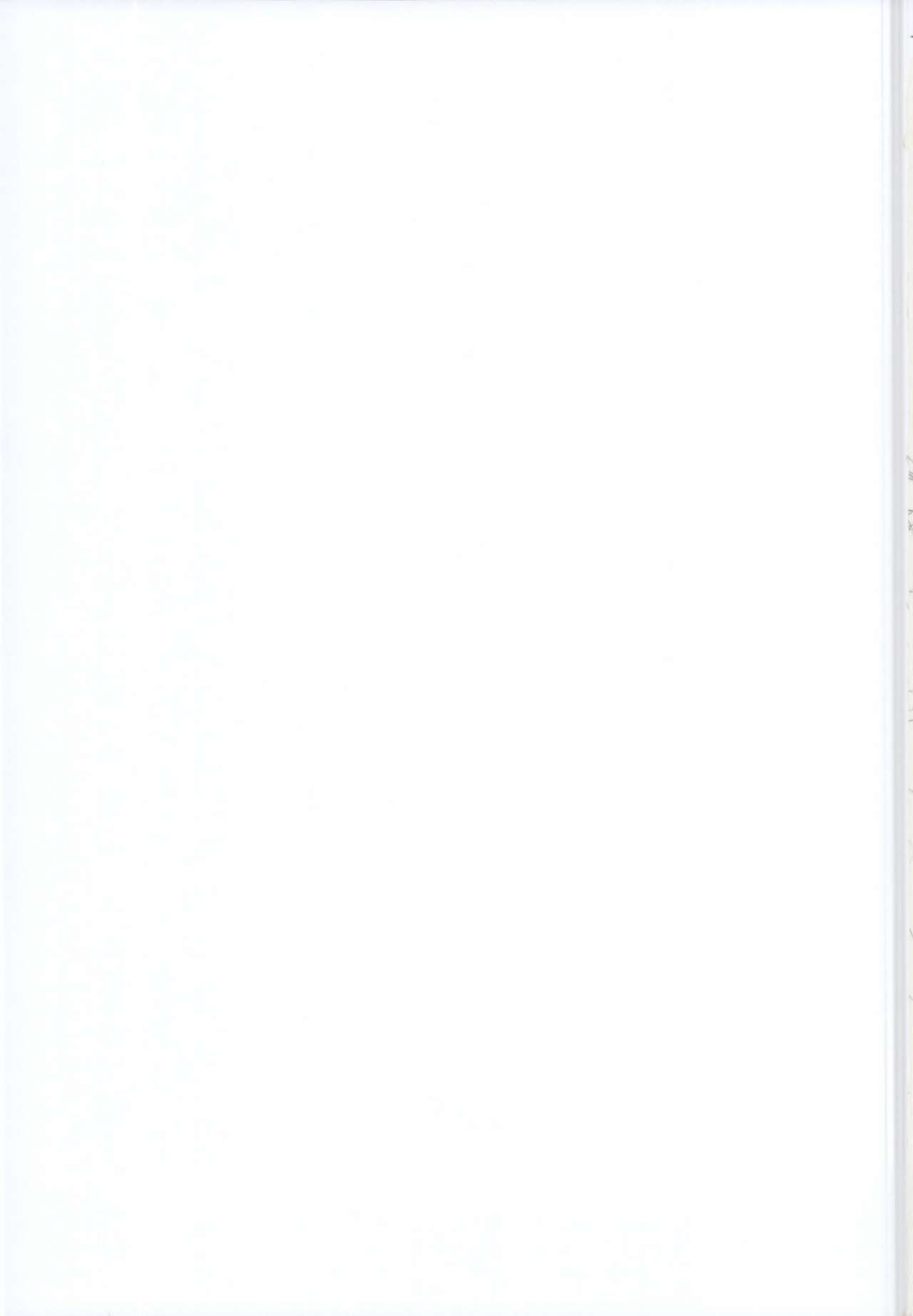 (C95) [ドットエイト (さわやか鮫肌)] フランちゃんとすけべする本 (東方Project) [中国翻訳]