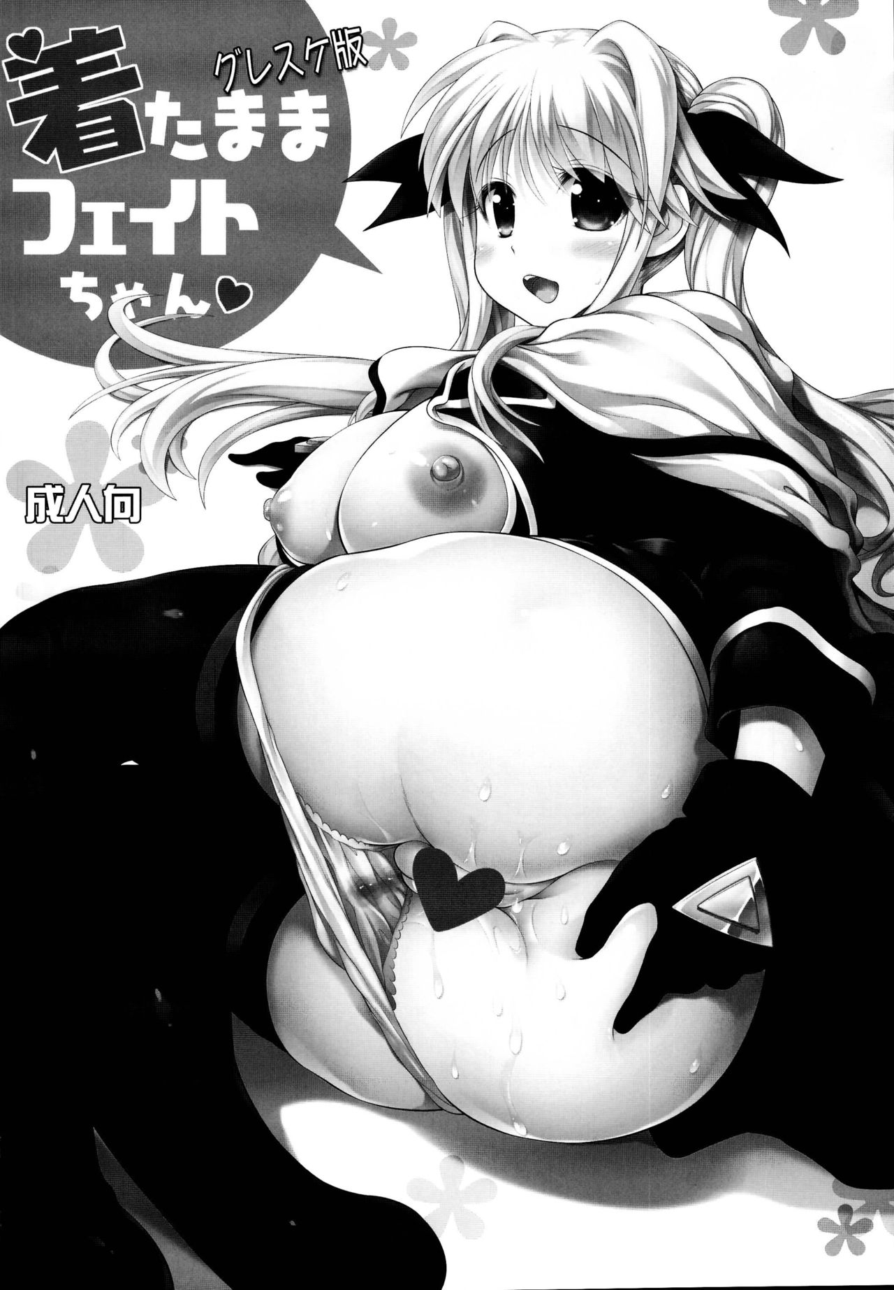 (C95) [STUDIOふあん (来鈍)] なのフェイ 総集編 (魔法少女リリカルなのは)