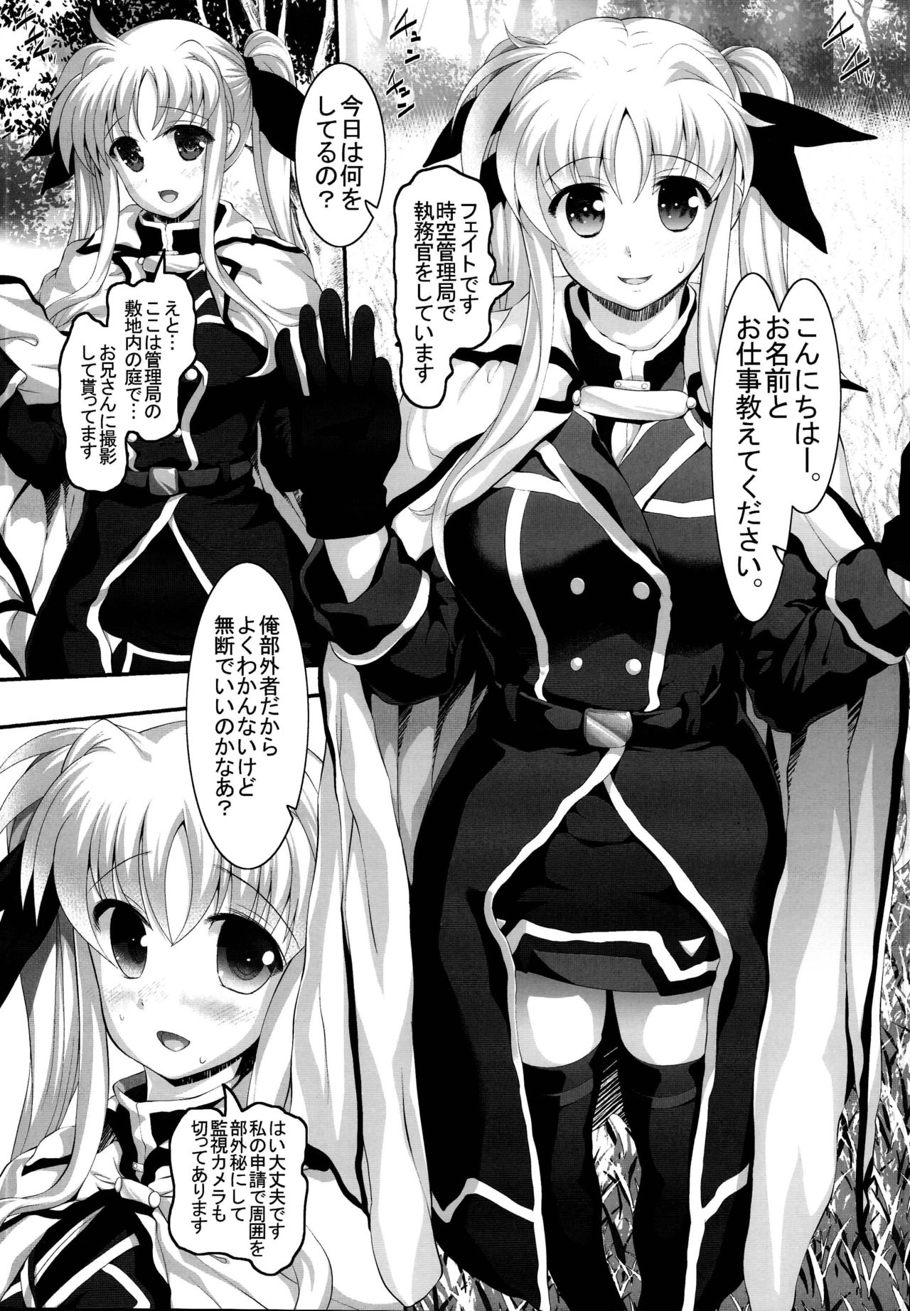 (C95) [STUDIOふあん (来鈍)] なのフェイ 総集編 (魔法少女リリカルなのは)