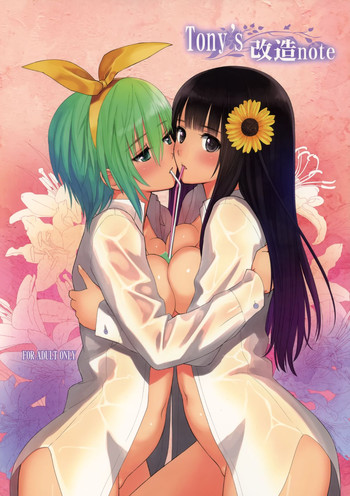 (C86) [T2 ART WORKS (Tony)] Tony's 改造note