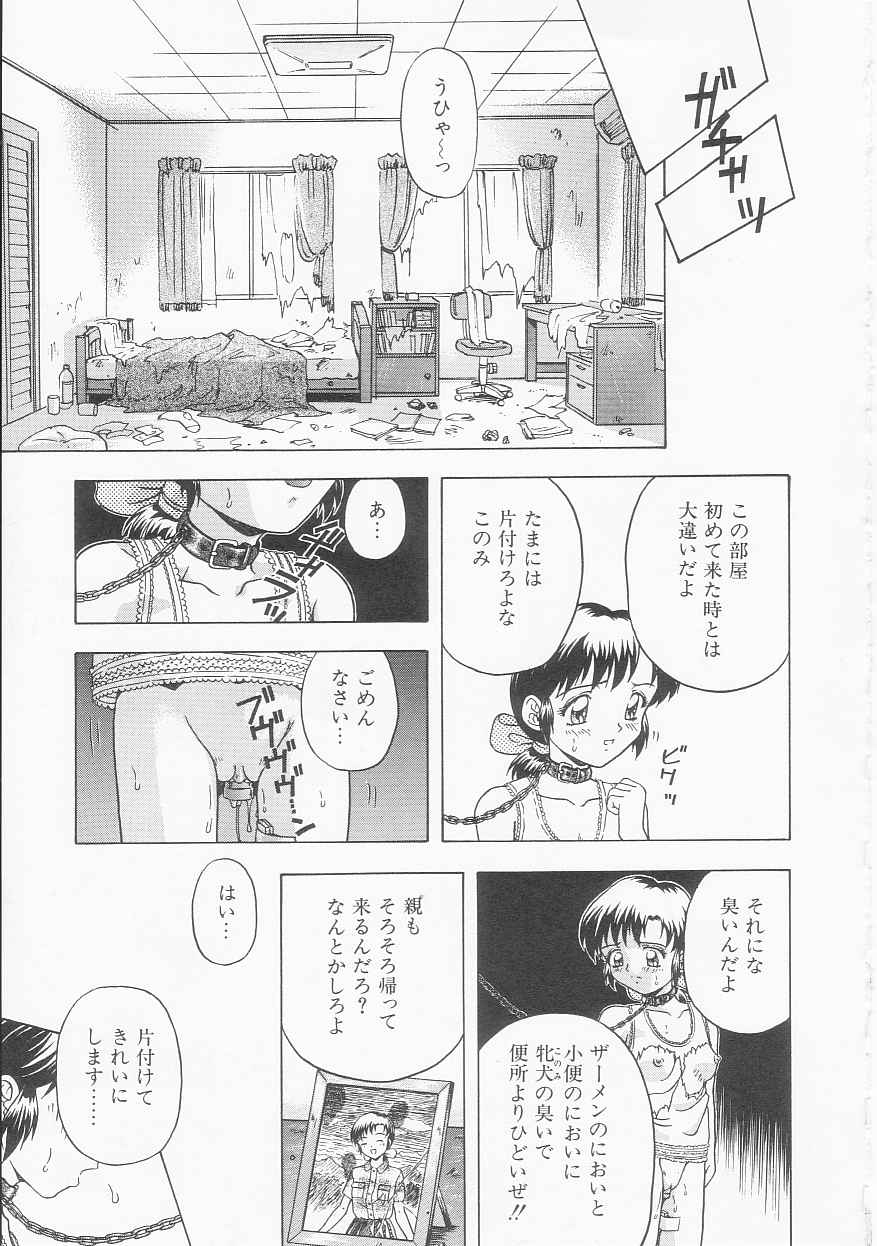 [今長敏] ティーンドリームス