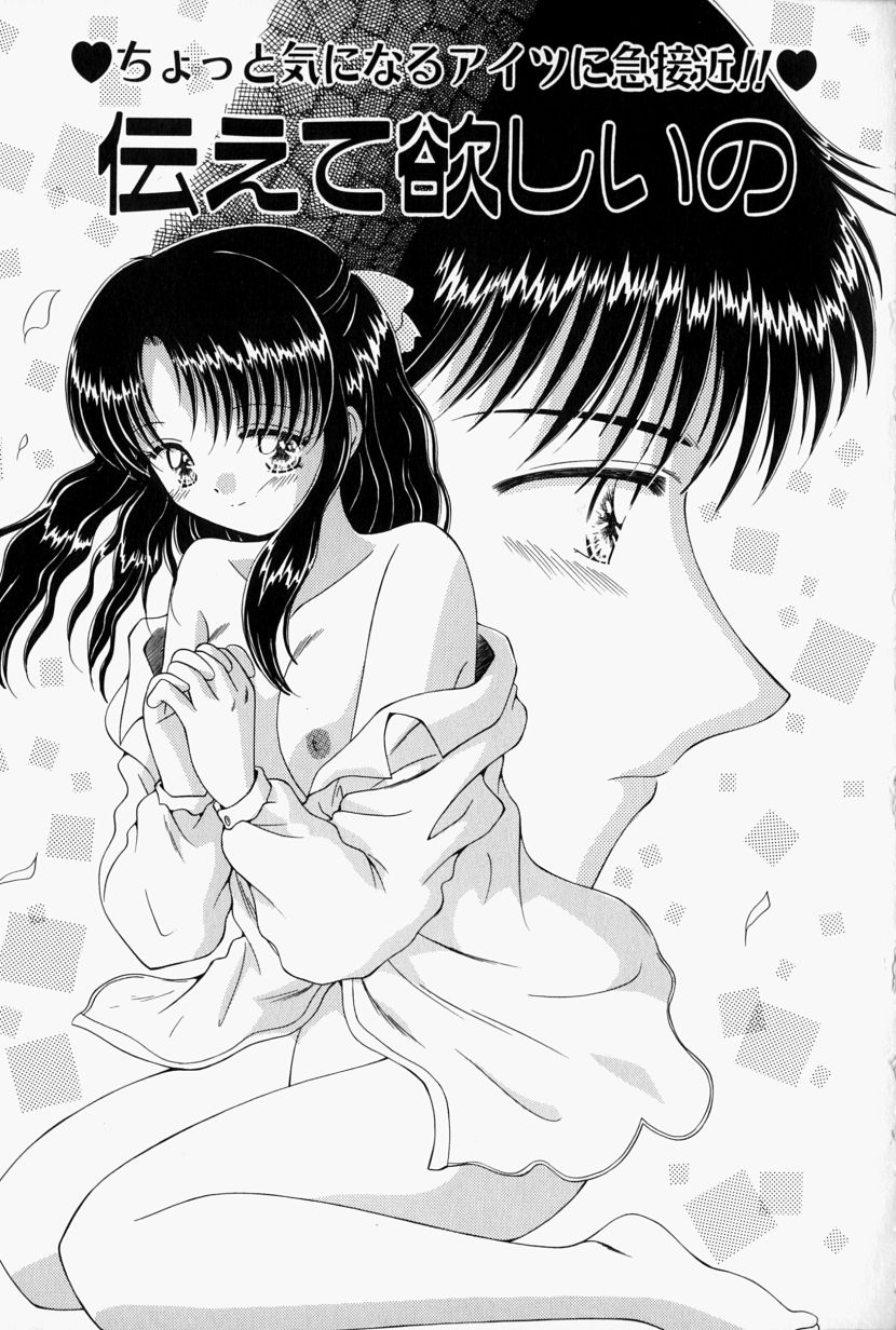 [鳴沢綾] 彼の秘密・私の秘密
